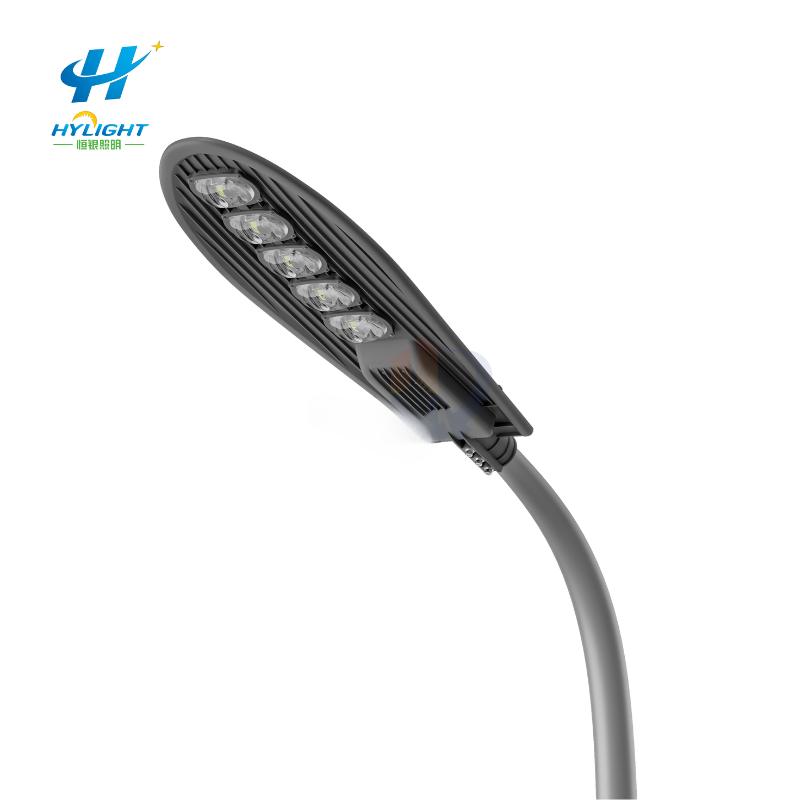 50W outdoor high brightness city circuit light 6 meters LED street light