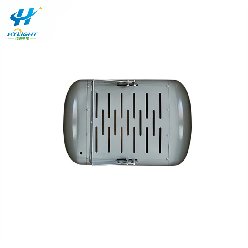100w Solar Flood Light